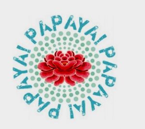 PAPAYA ART LOGO