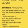 Dr. Schulze's Tooth & Gum Formula 1 fl oz - Image 2