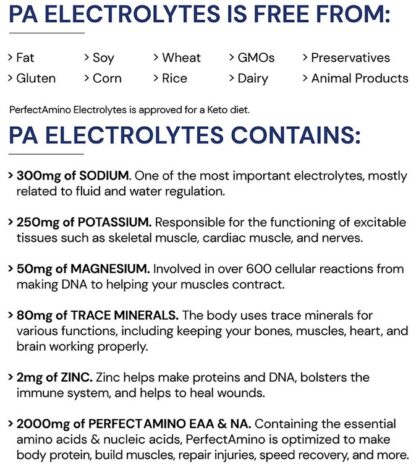 BodyHealth PerfectAmino™ Electrolyte Powder 15 Orange Flavor Travel Packets - Image 3