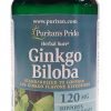 Puritan's Pride Ginkgo Biloba 120mg 100 Capsules main